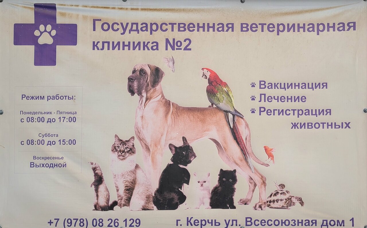 Ветклиника