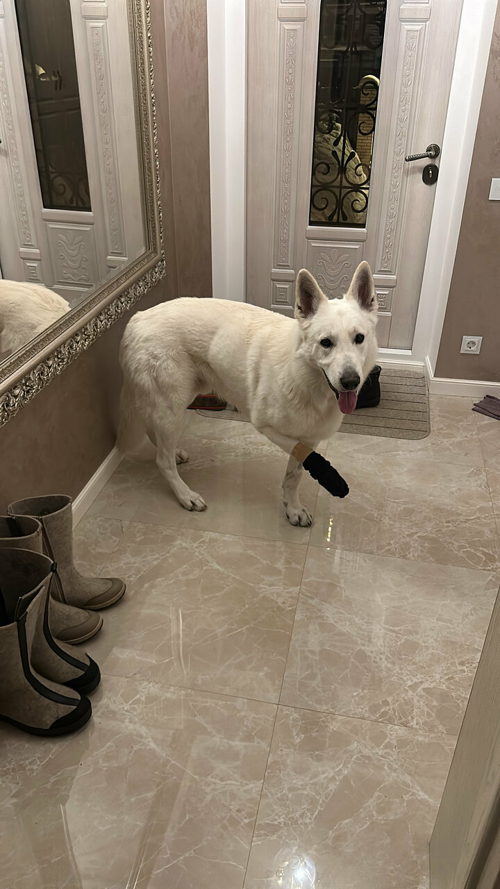 more clinic photos 80095