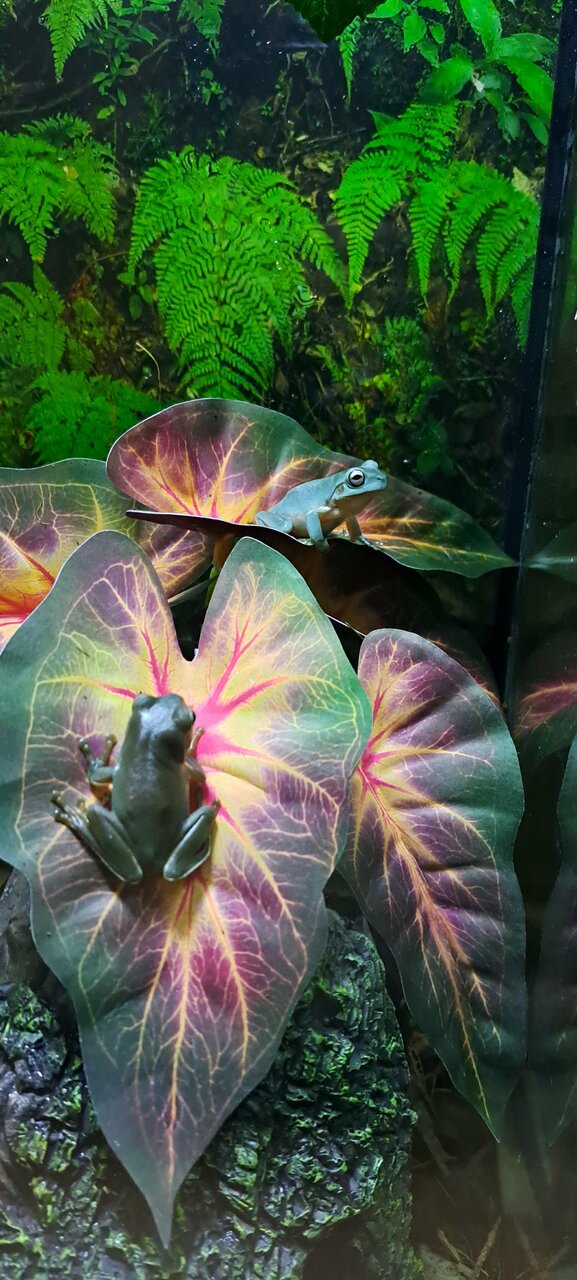 more clinic photos 20961