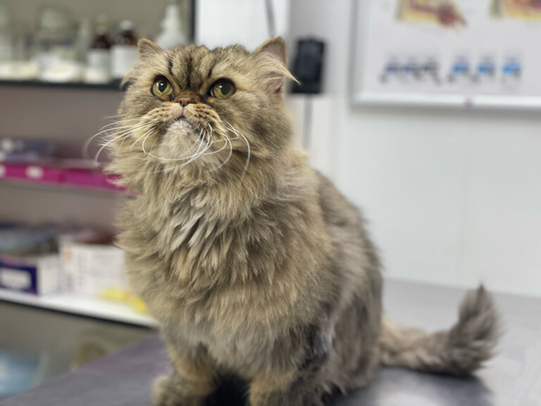 clinic general image