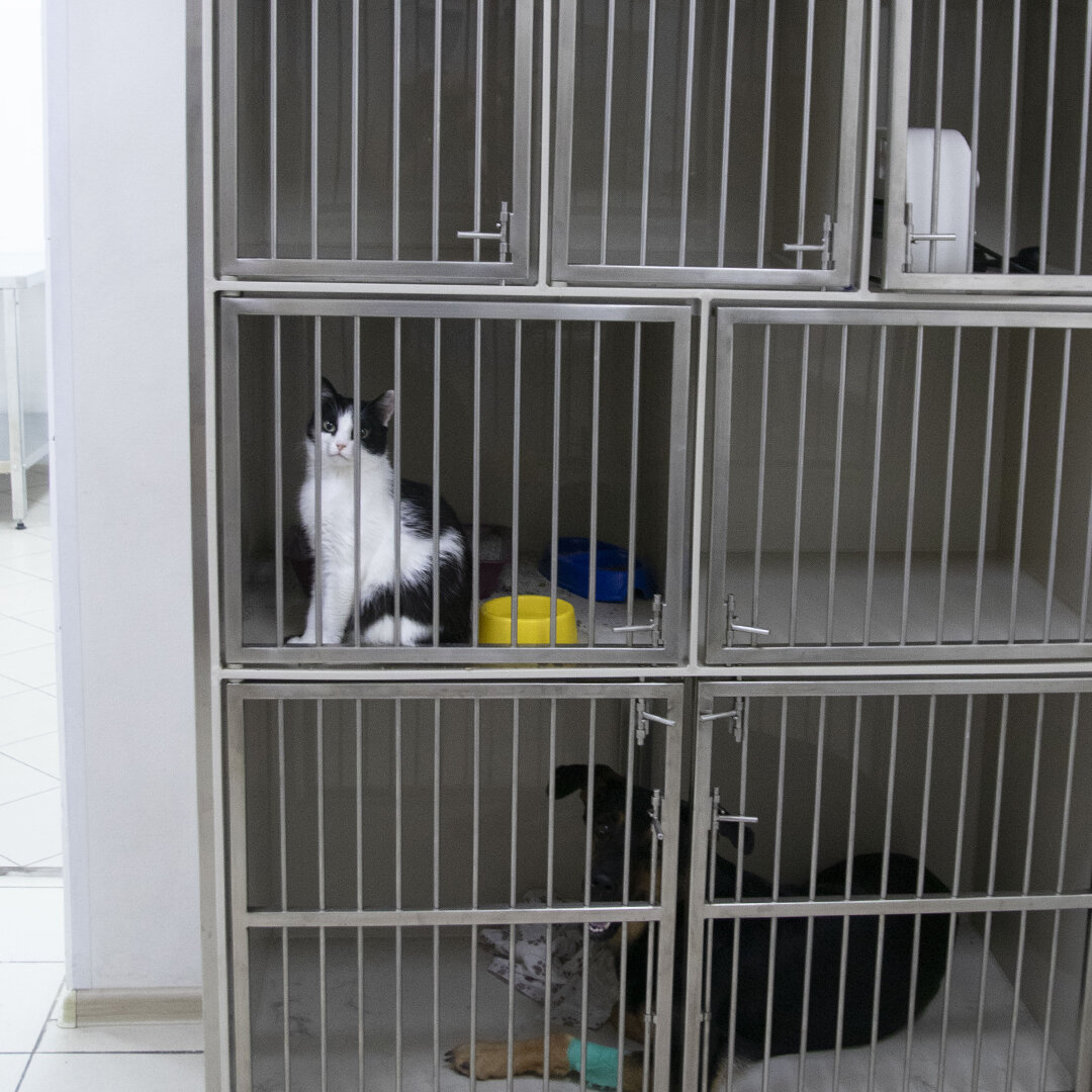 more clinic photos 28563