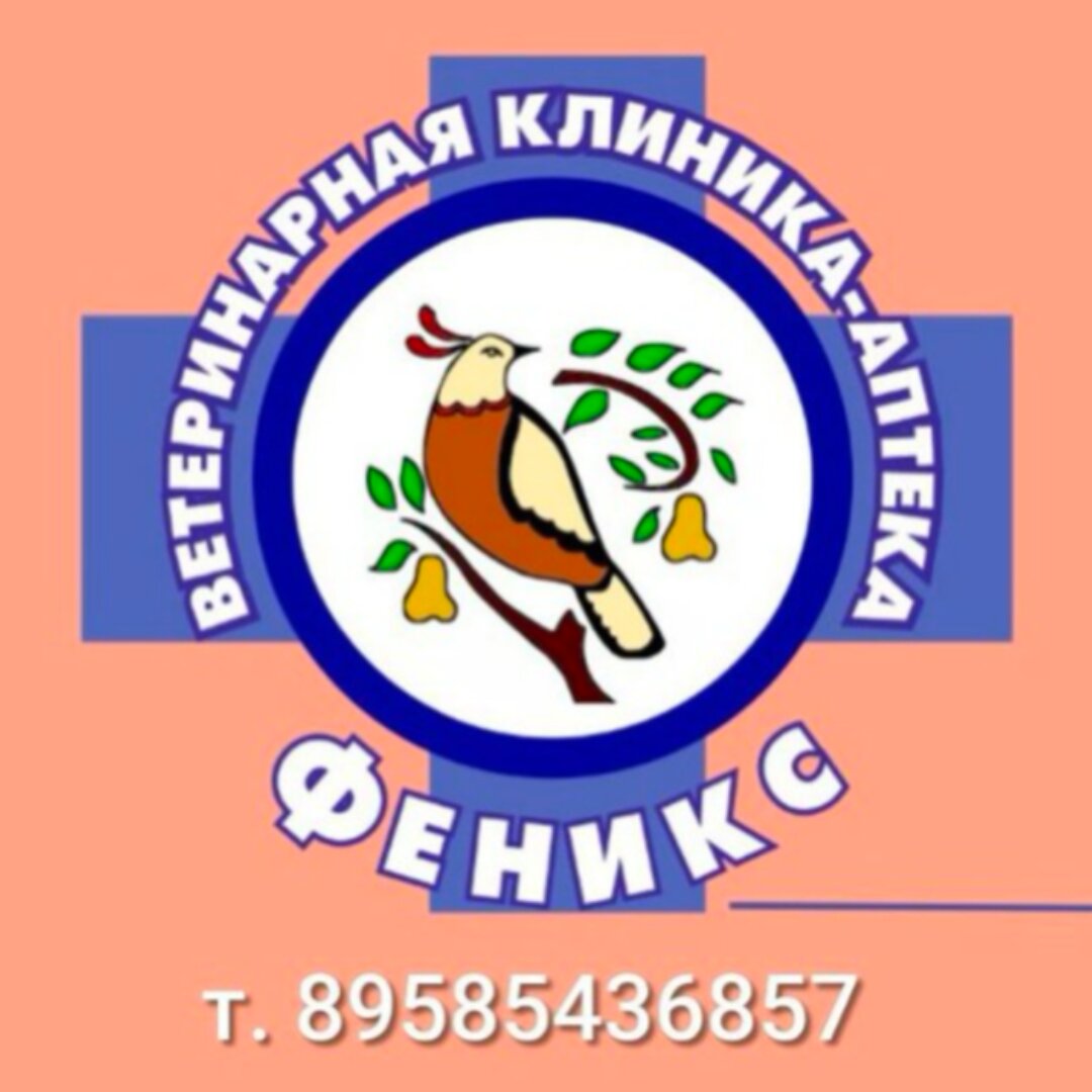 clinic logo