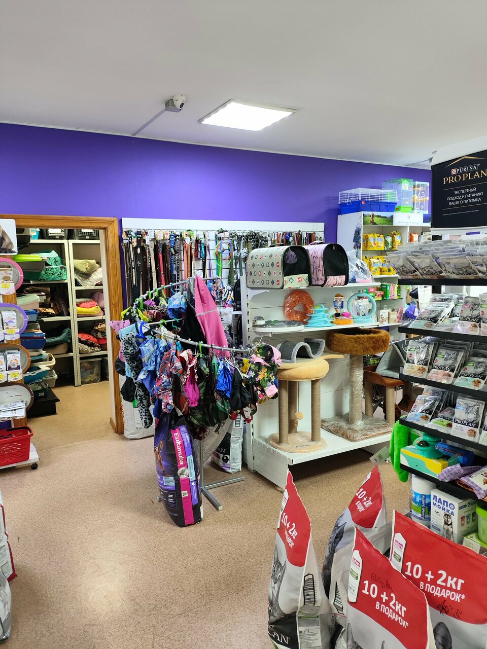 more clinic photos 11957