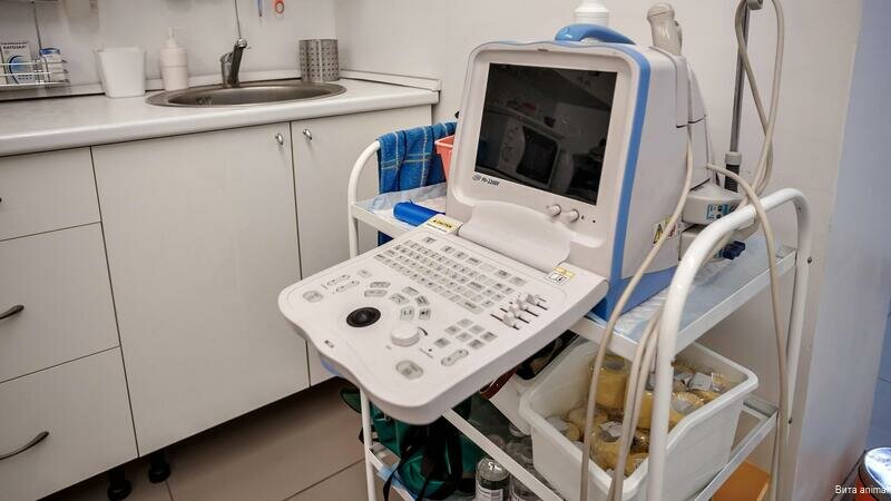 more clinic photos 11452