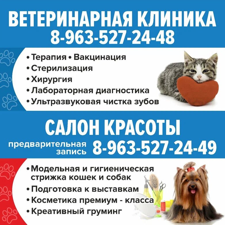 Логотип клиники