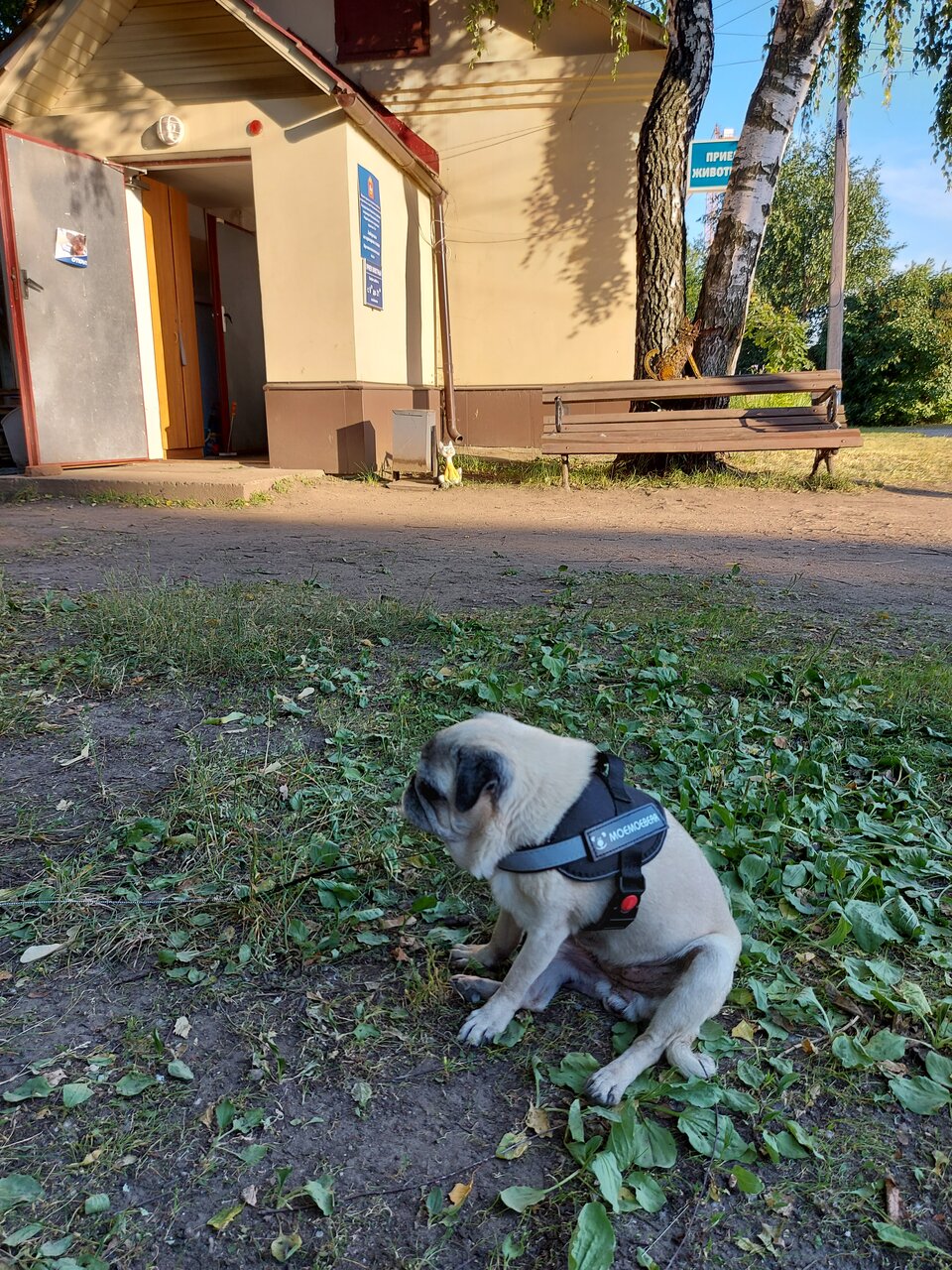 Фото клиники 2674