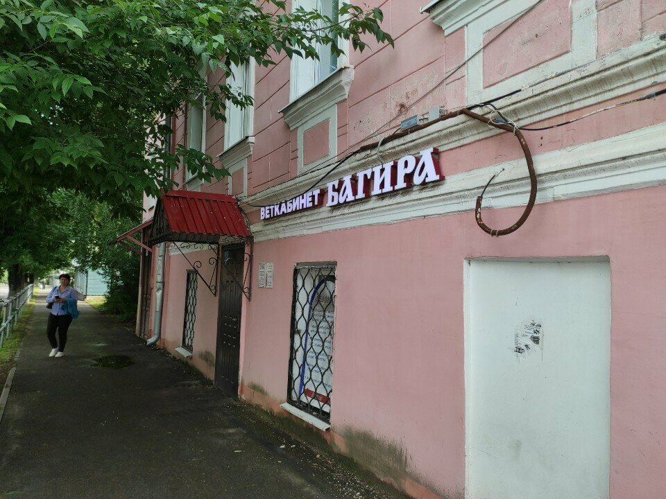 Фото «Багира»