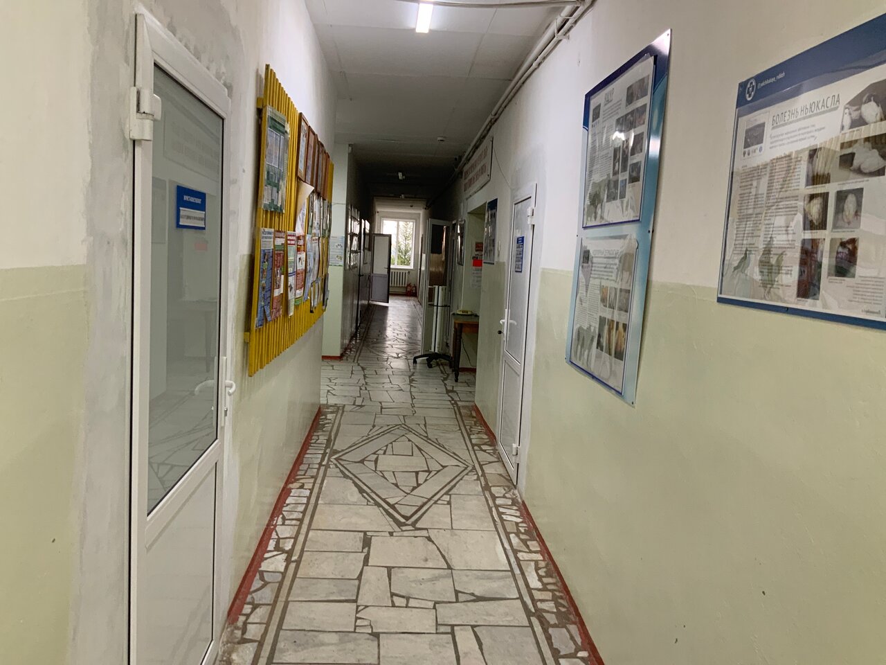 Фото клиники БУ ЧР Яльчикская районная станция по борьбе с болезнями животных Государственной ветеринарной службы ЧР