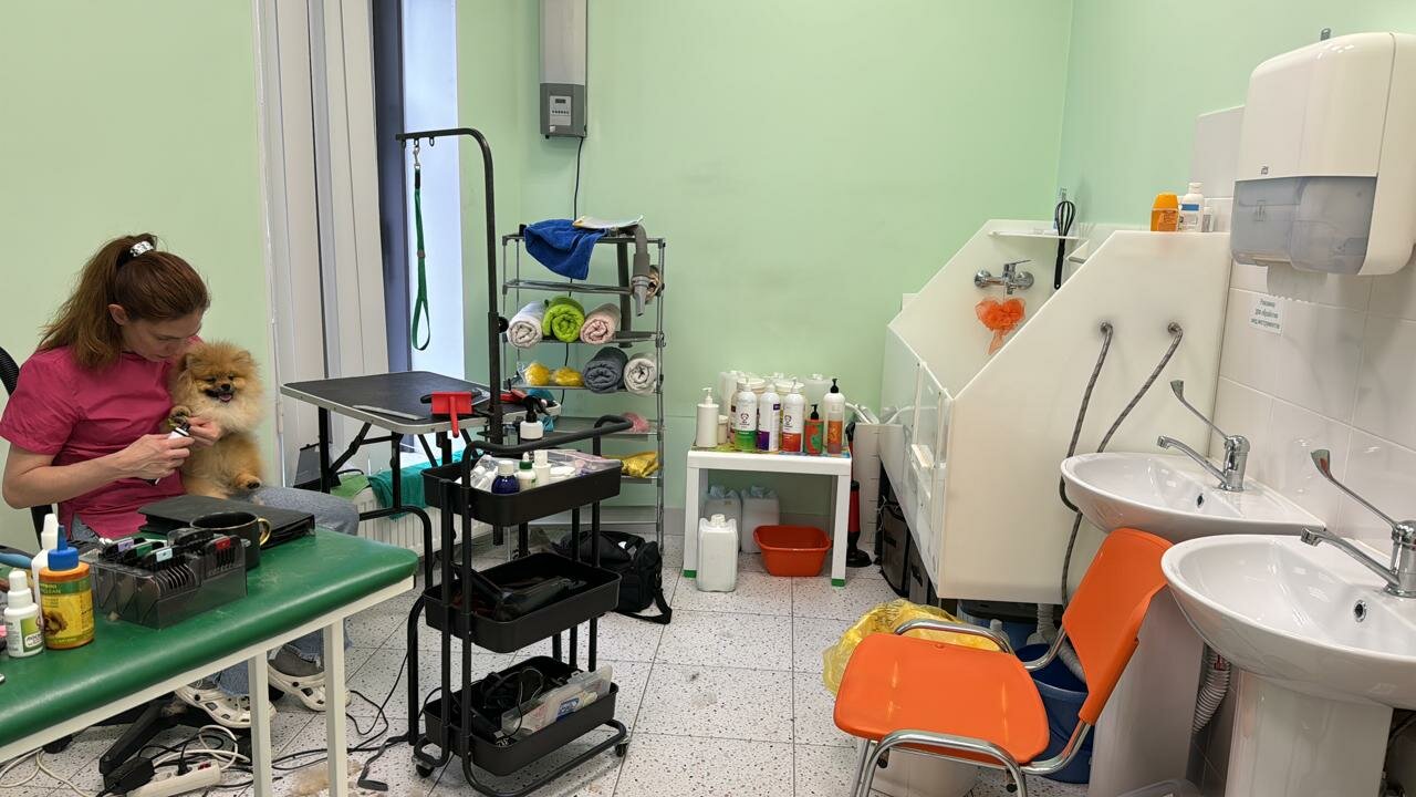 more clinic photos 20729