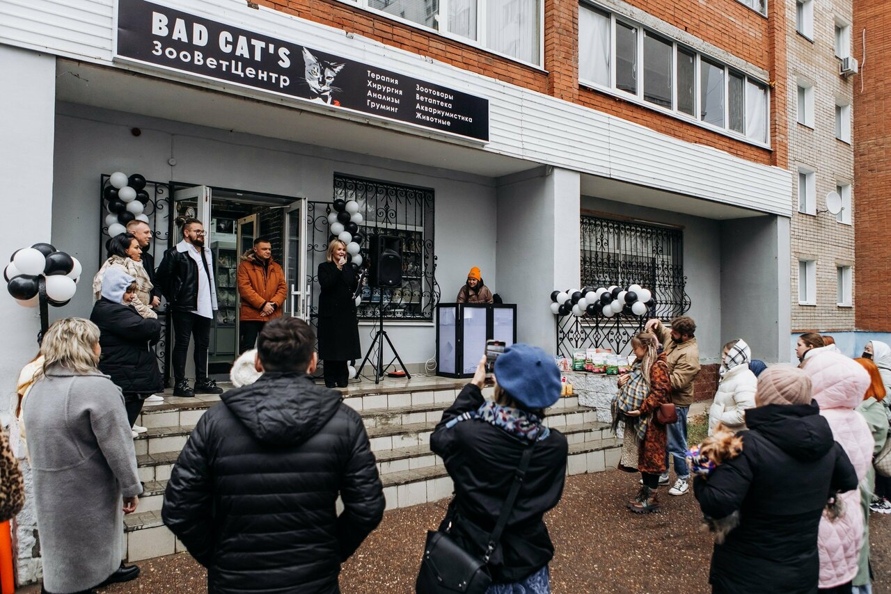 ЗооВетЦентр Bad Cats
