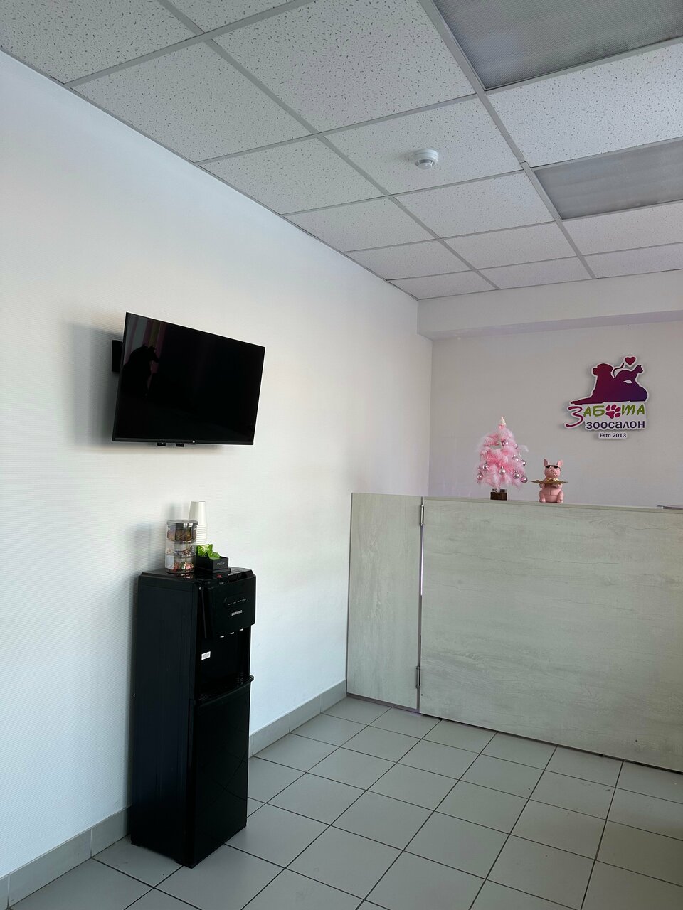 more clinic photos 81900