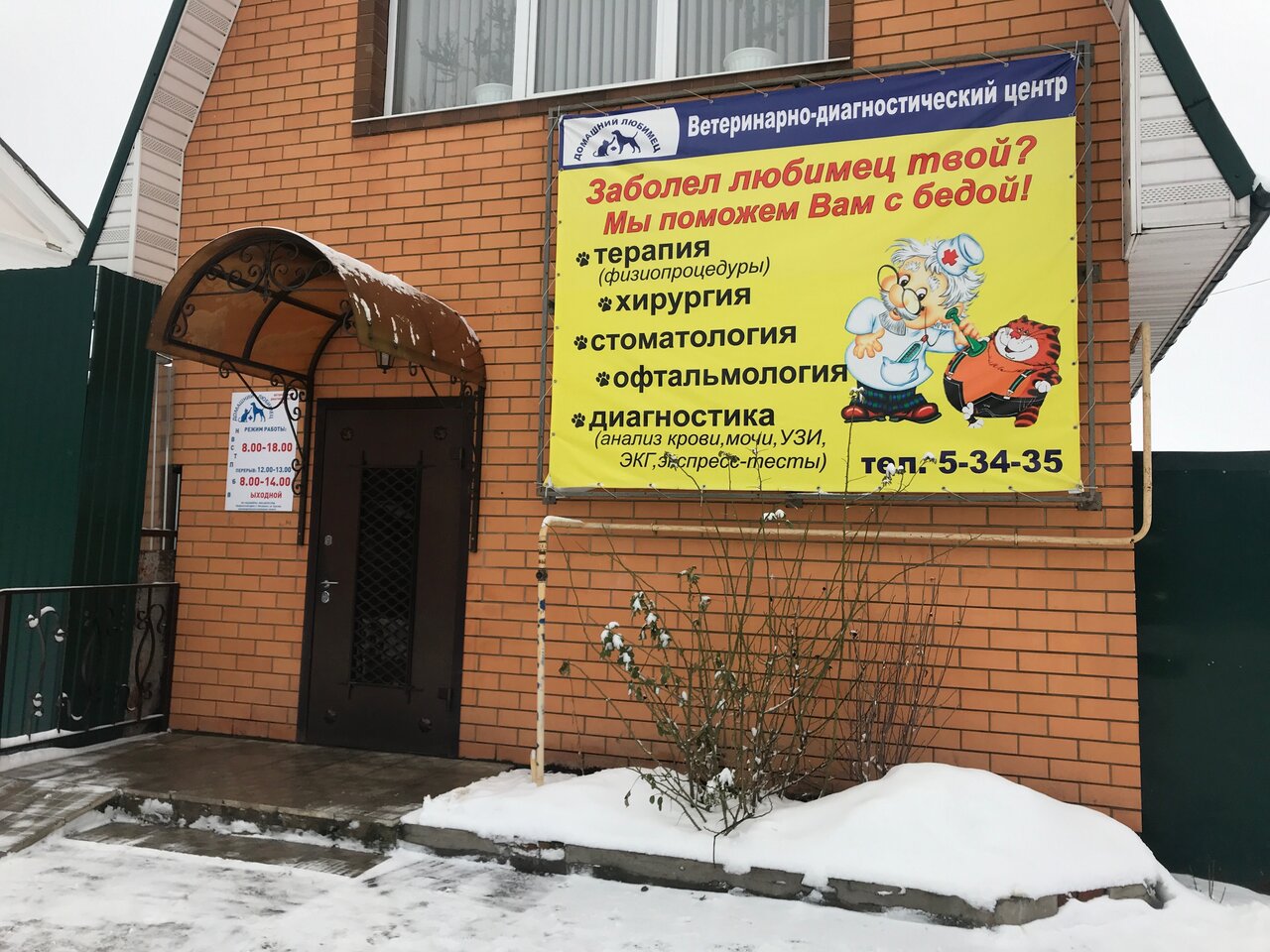 Домашний любимец