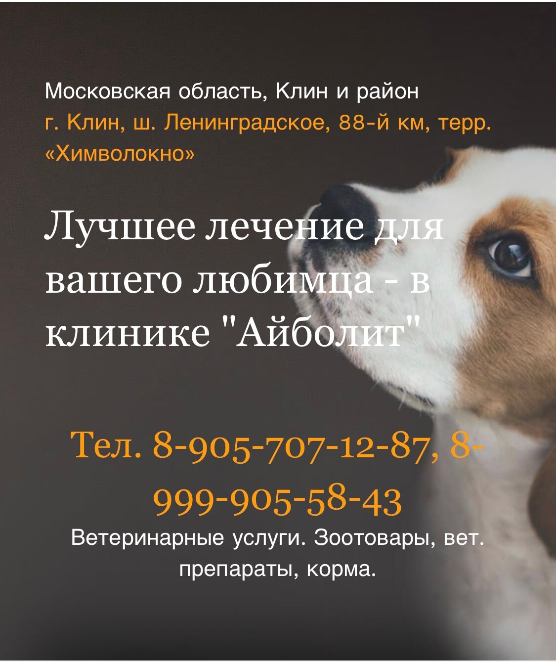 Логотип клиники