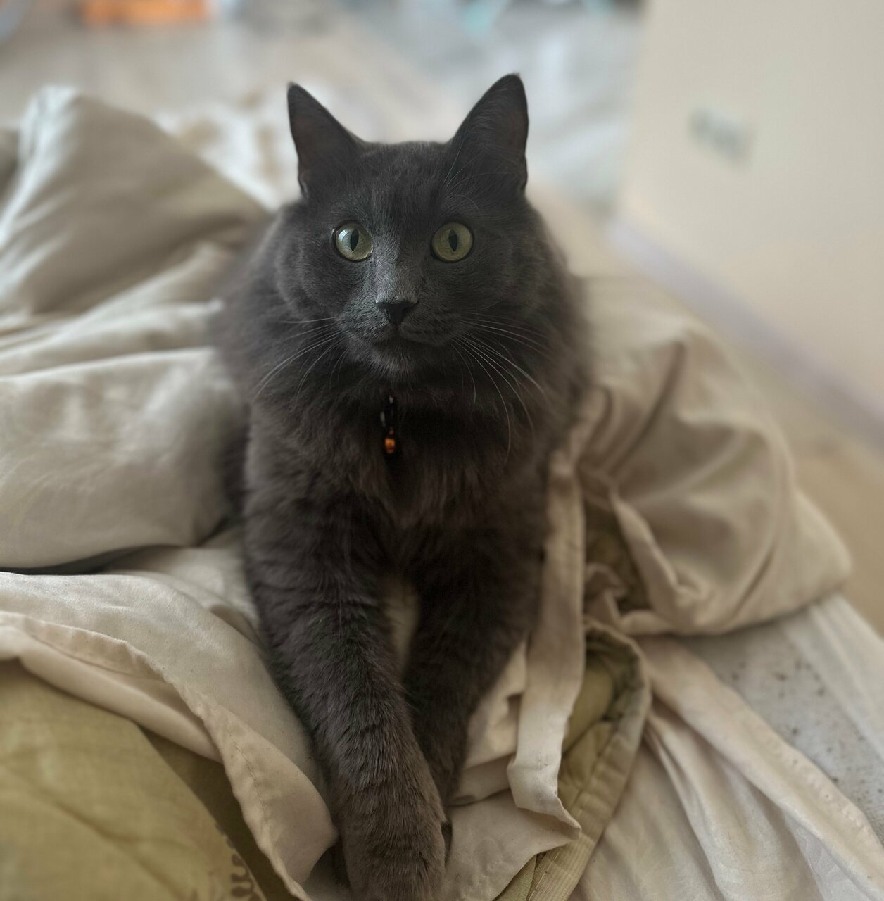 more clinic photos 15389