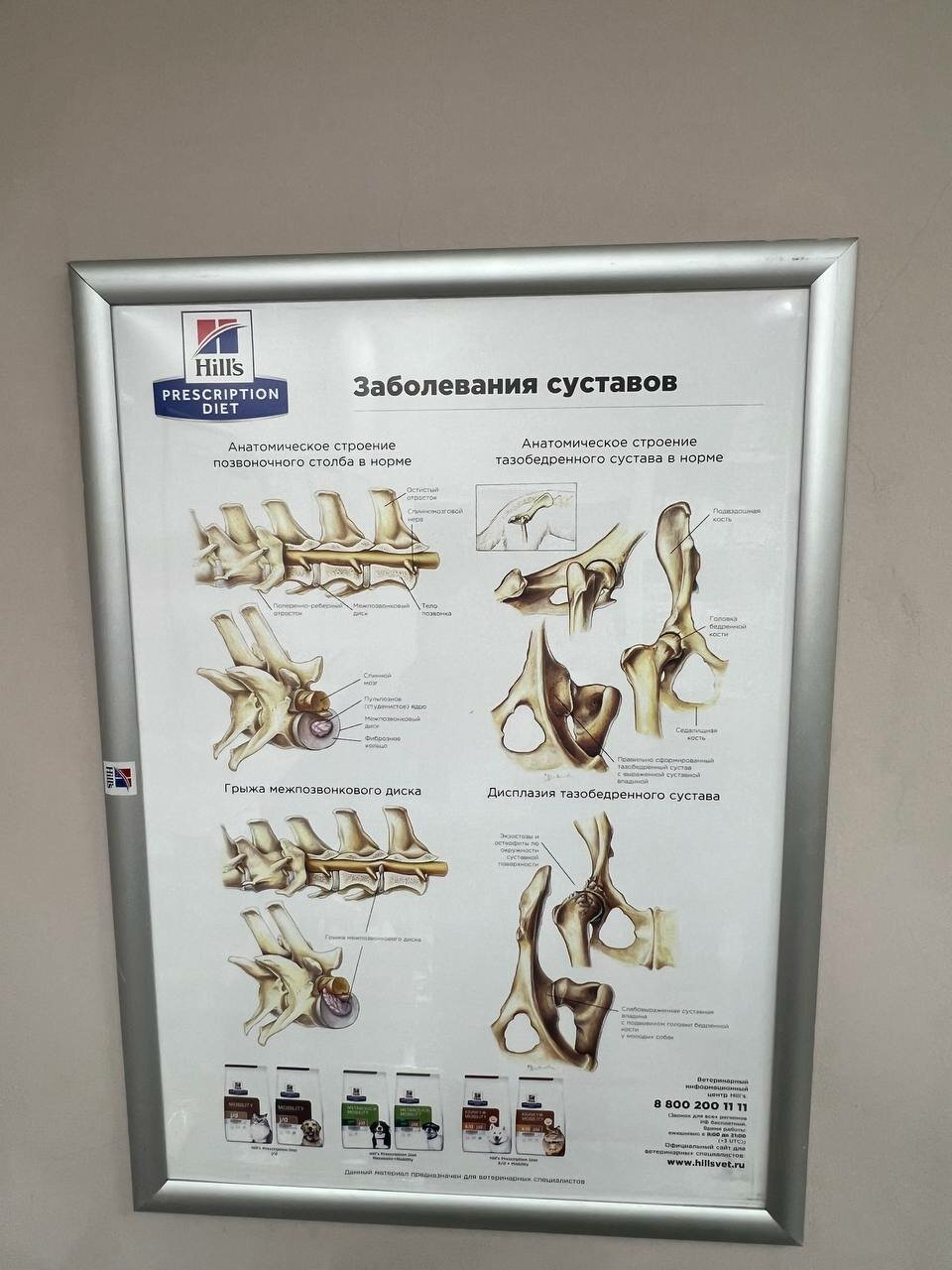 Ещё фото клиники 32290