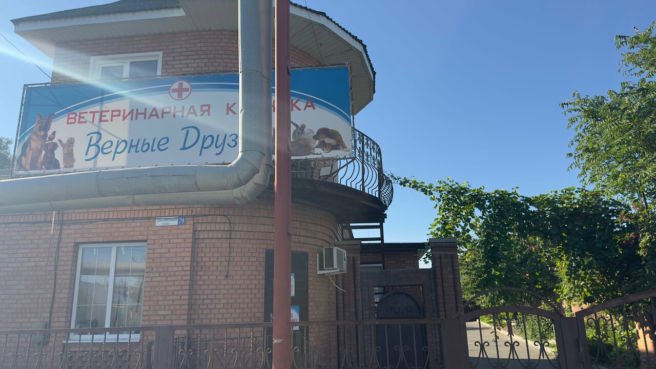 Верные друзья