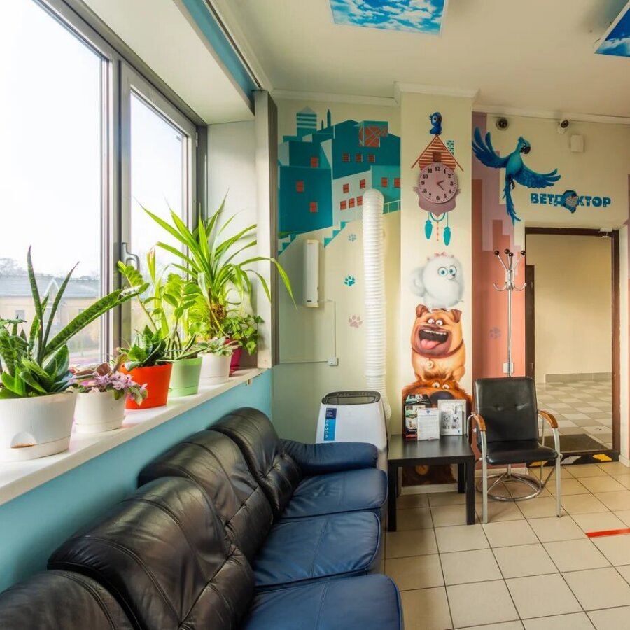 more clinic photos 4647