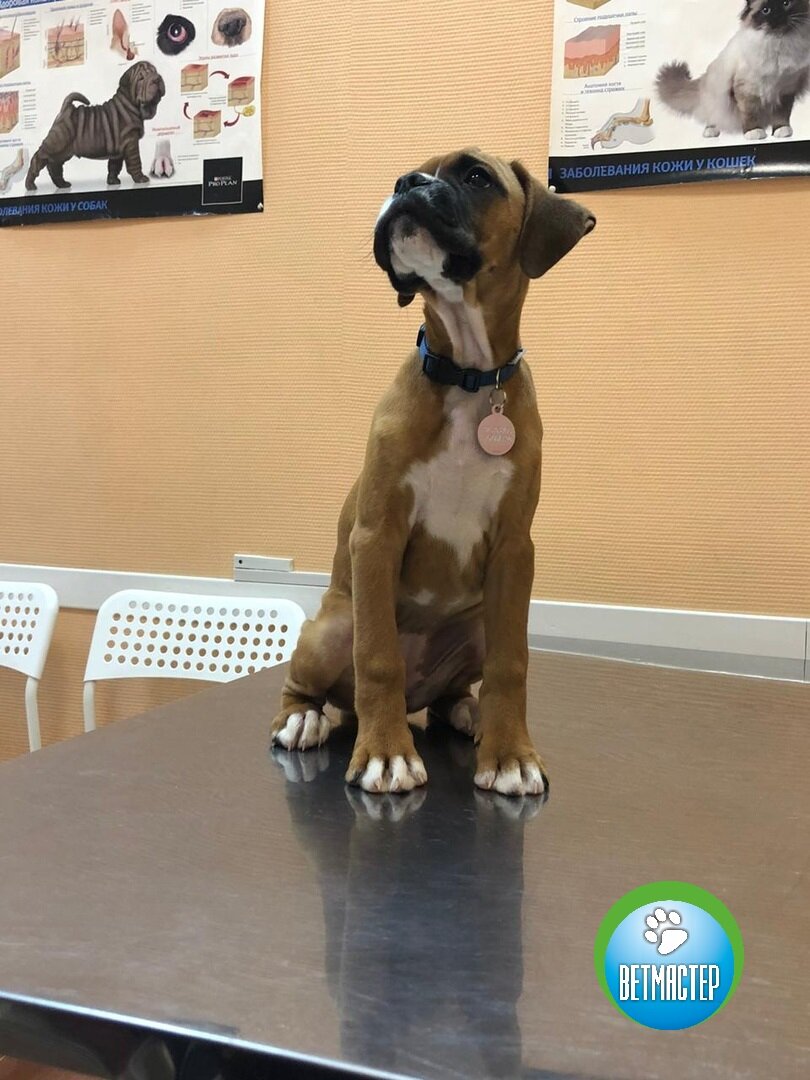 more clinic photos 36200