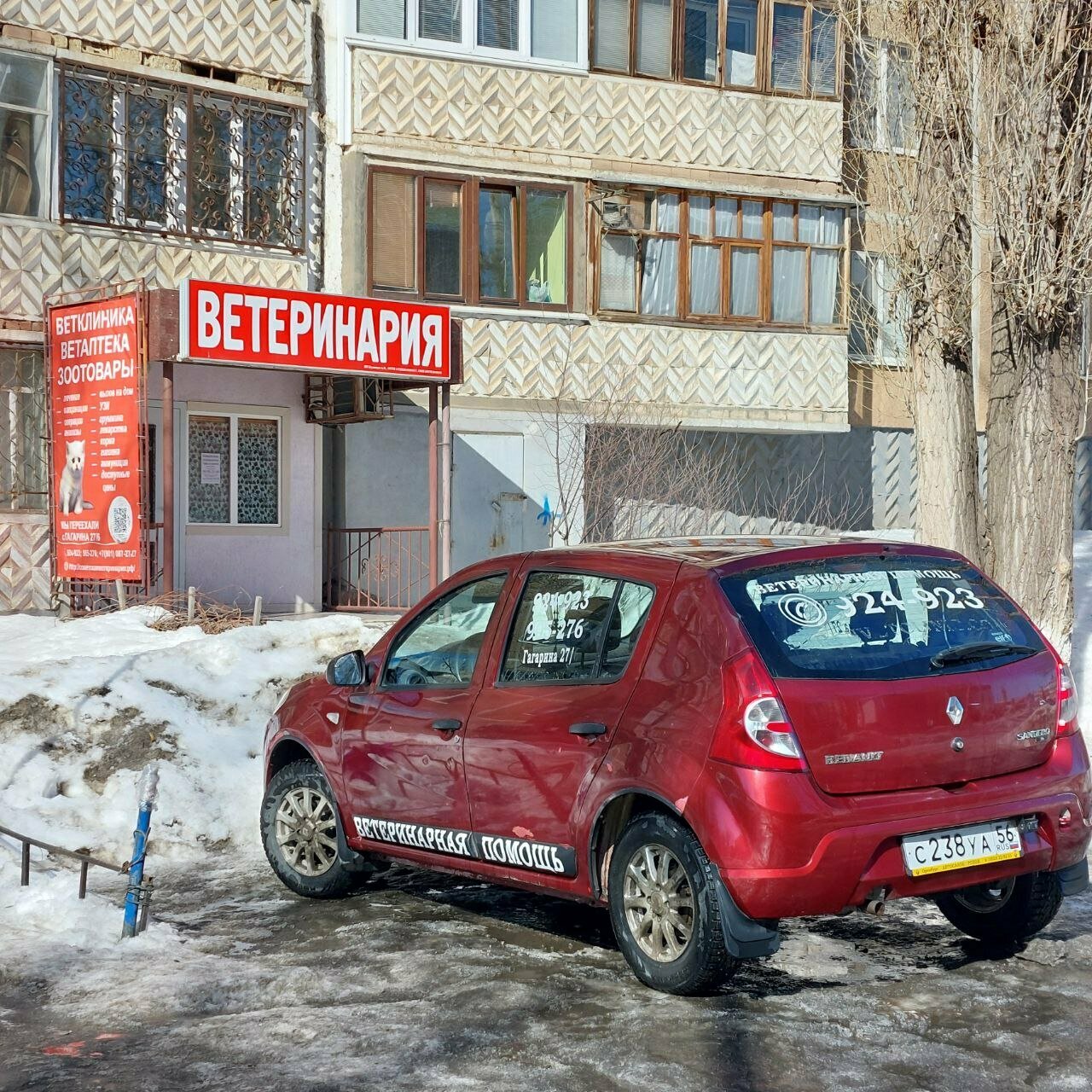 Фото «Ветеринарная помощь»