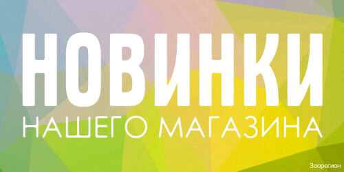 Логотип клиники