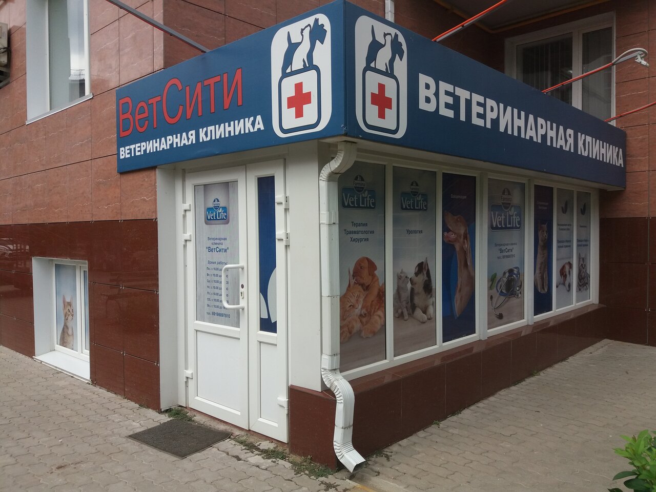 Фото клиники 33631