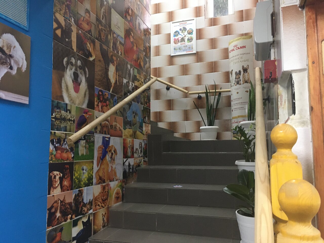 Фото клиники 66242