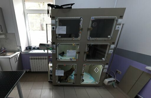 Фото клиники 45058