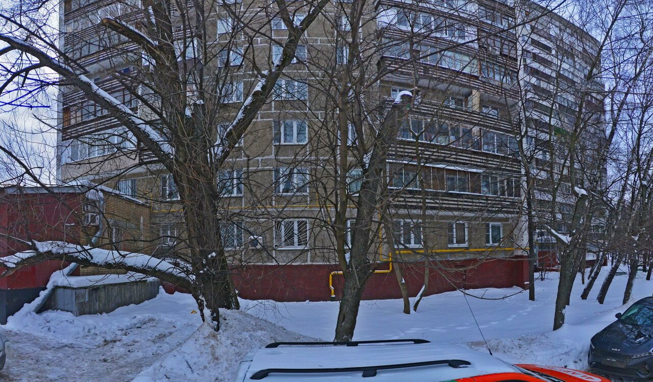 Фото «Четыре Лапы»