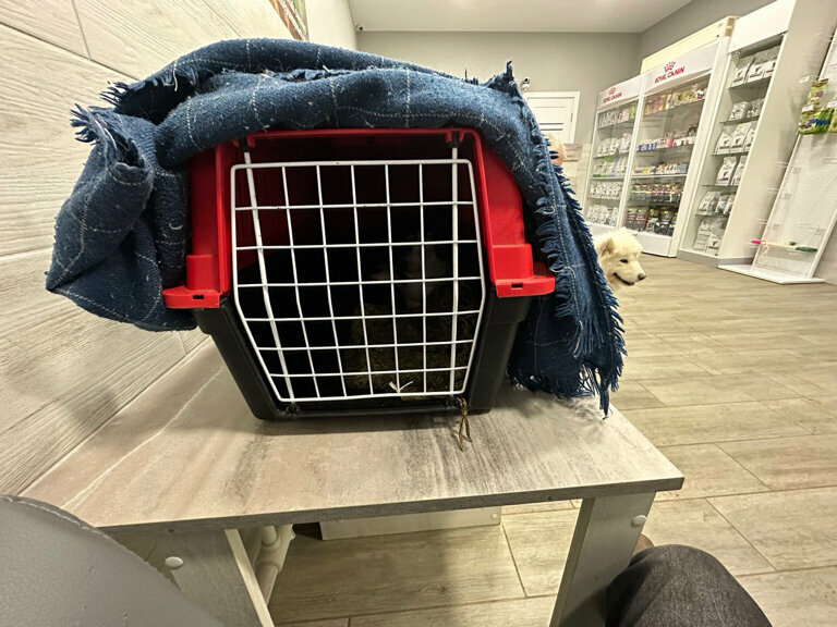 more clinic photos 3898