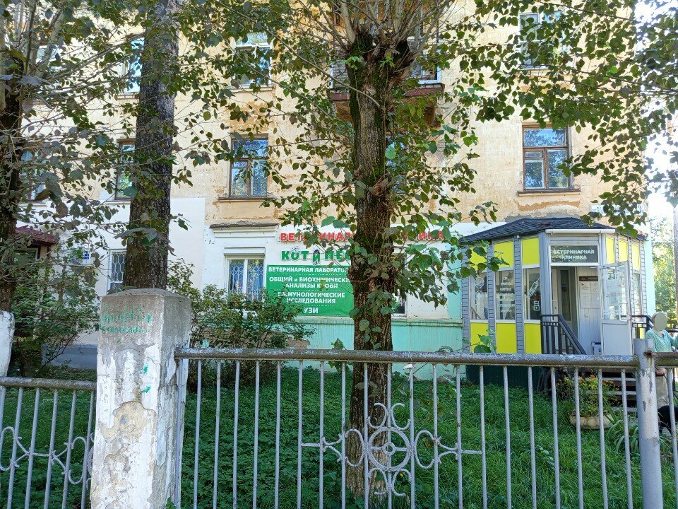 Фото клиники 50244