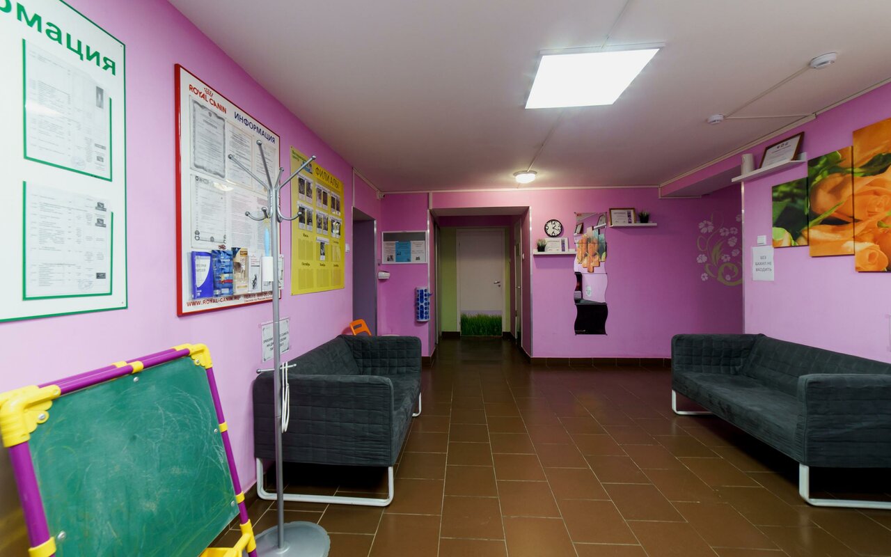 Фото клиники 56243