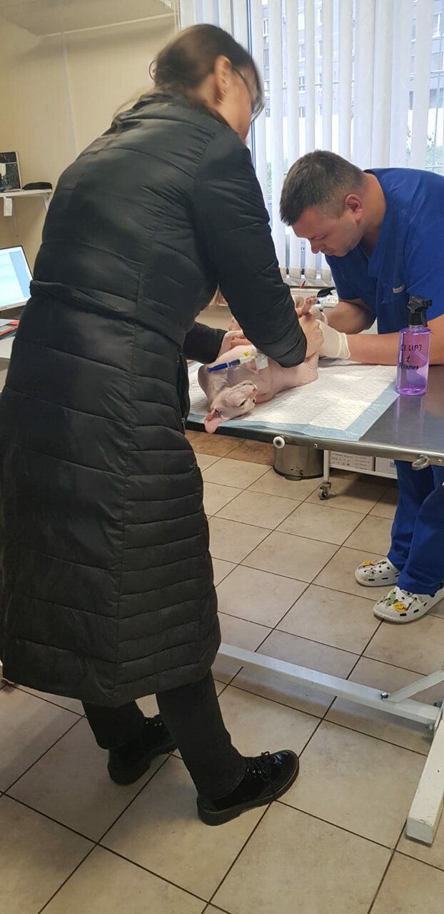 more clinic photos 39716