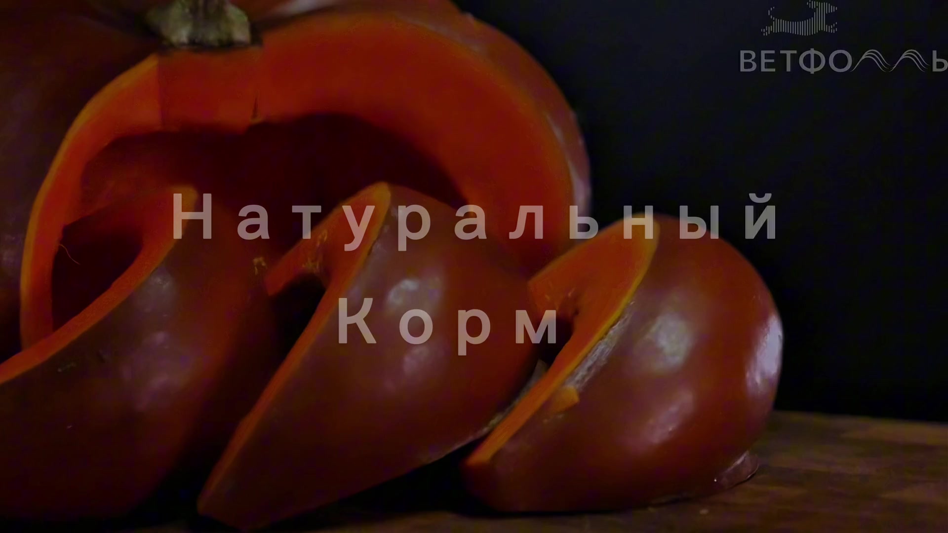 Главное фото клиники