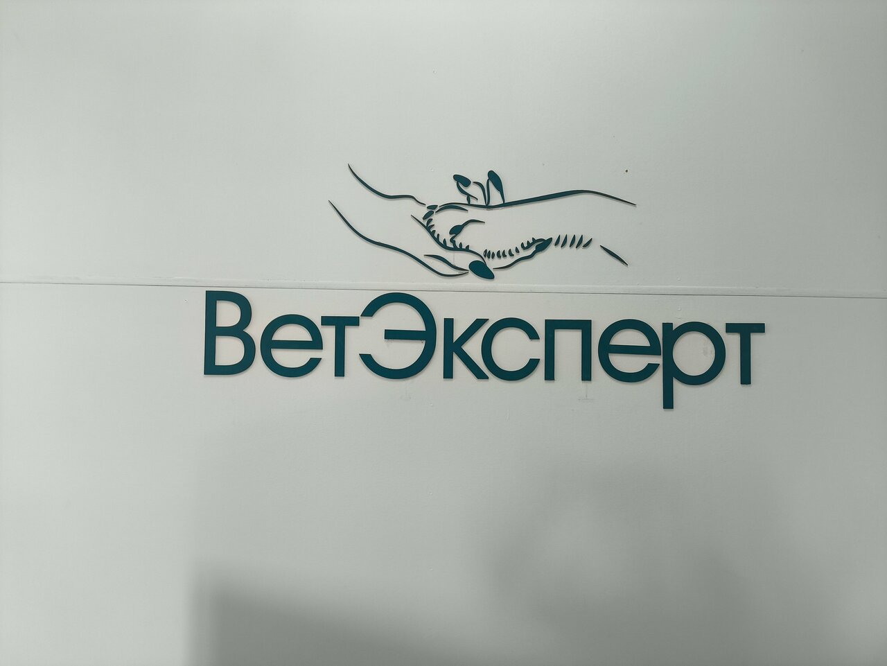Фото клиники 28711