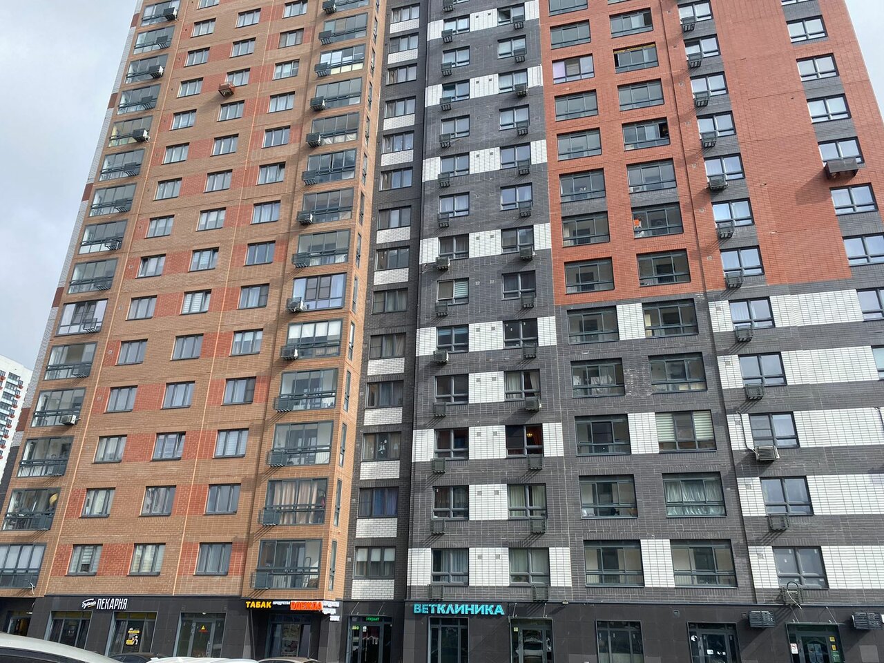 Энимал Сити