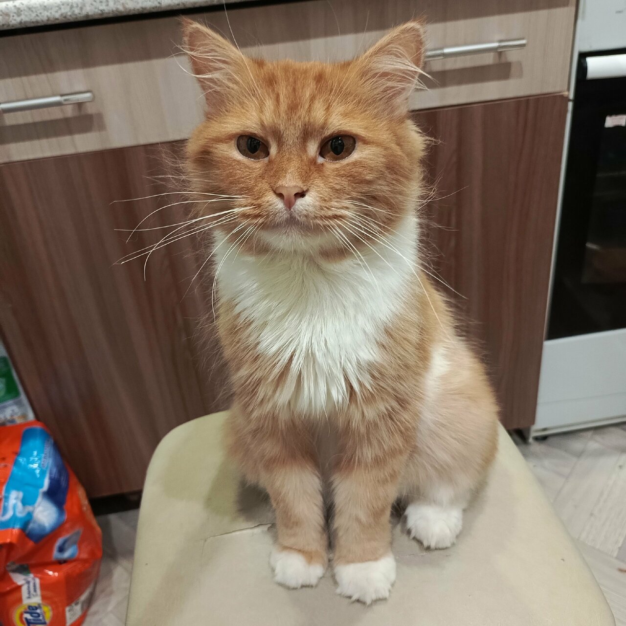 clinic general image