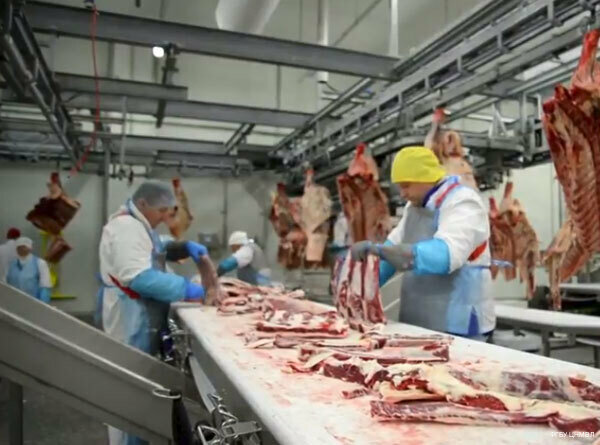 more clinic photos 20658