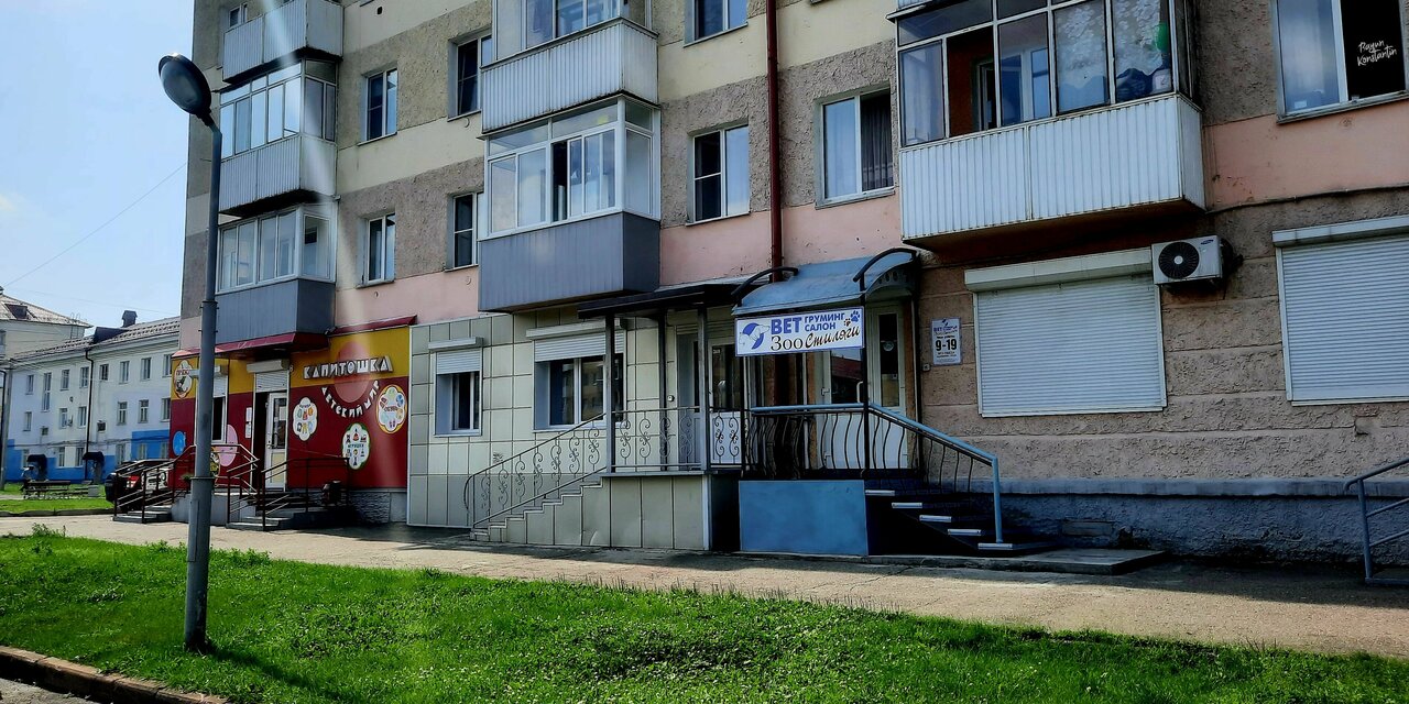 Зоо стиляги