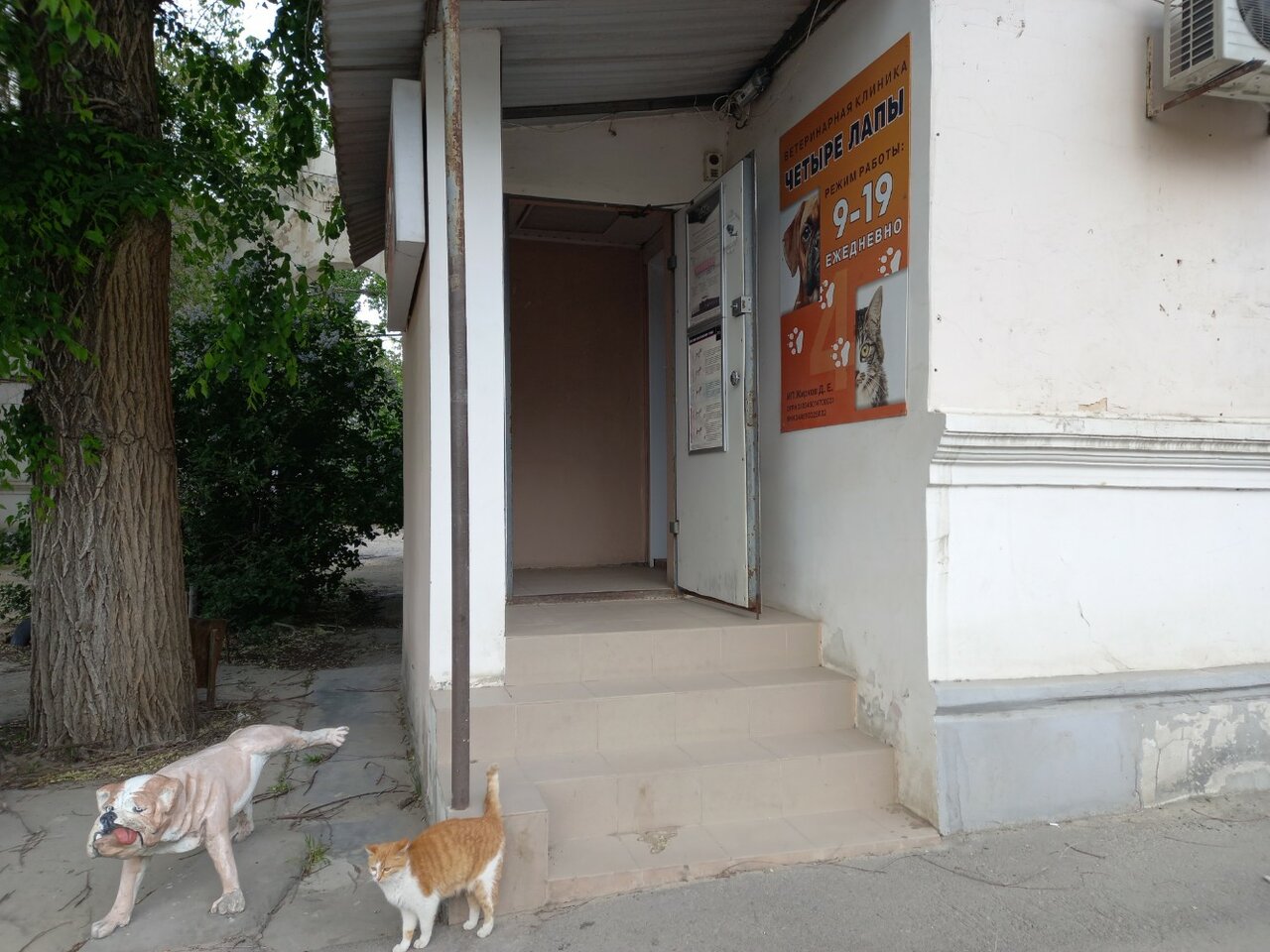 Фото клиники 66117