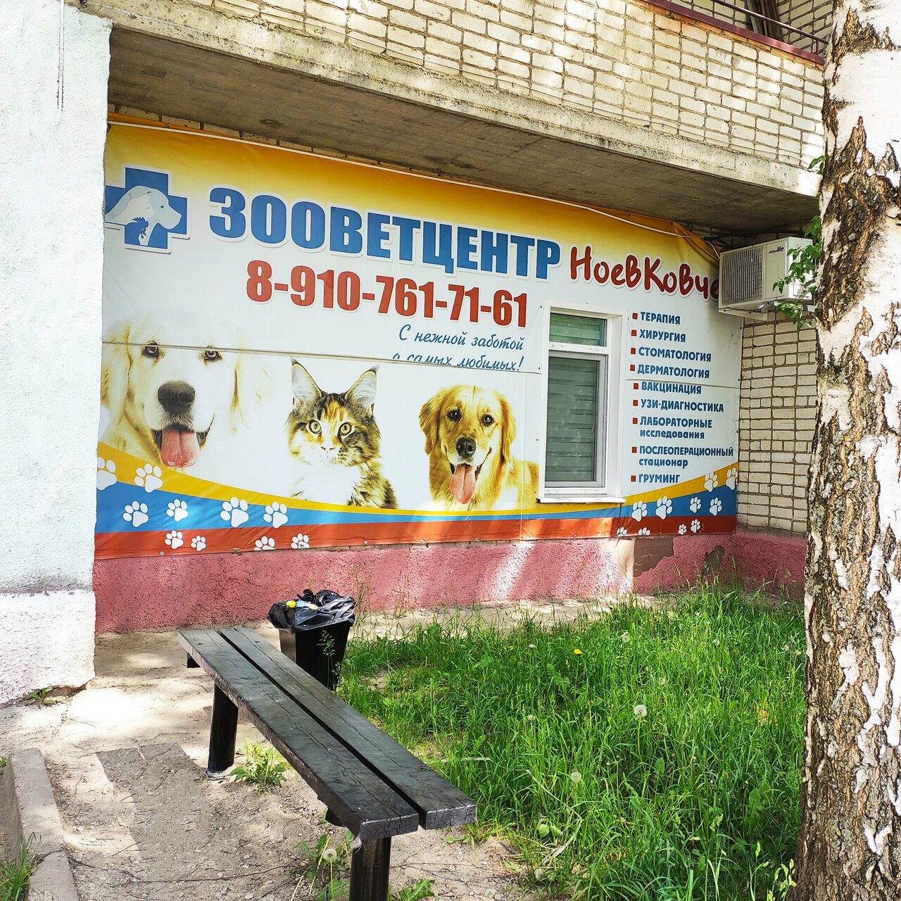 Ноев ковчег