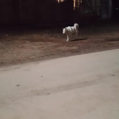 clinic general image