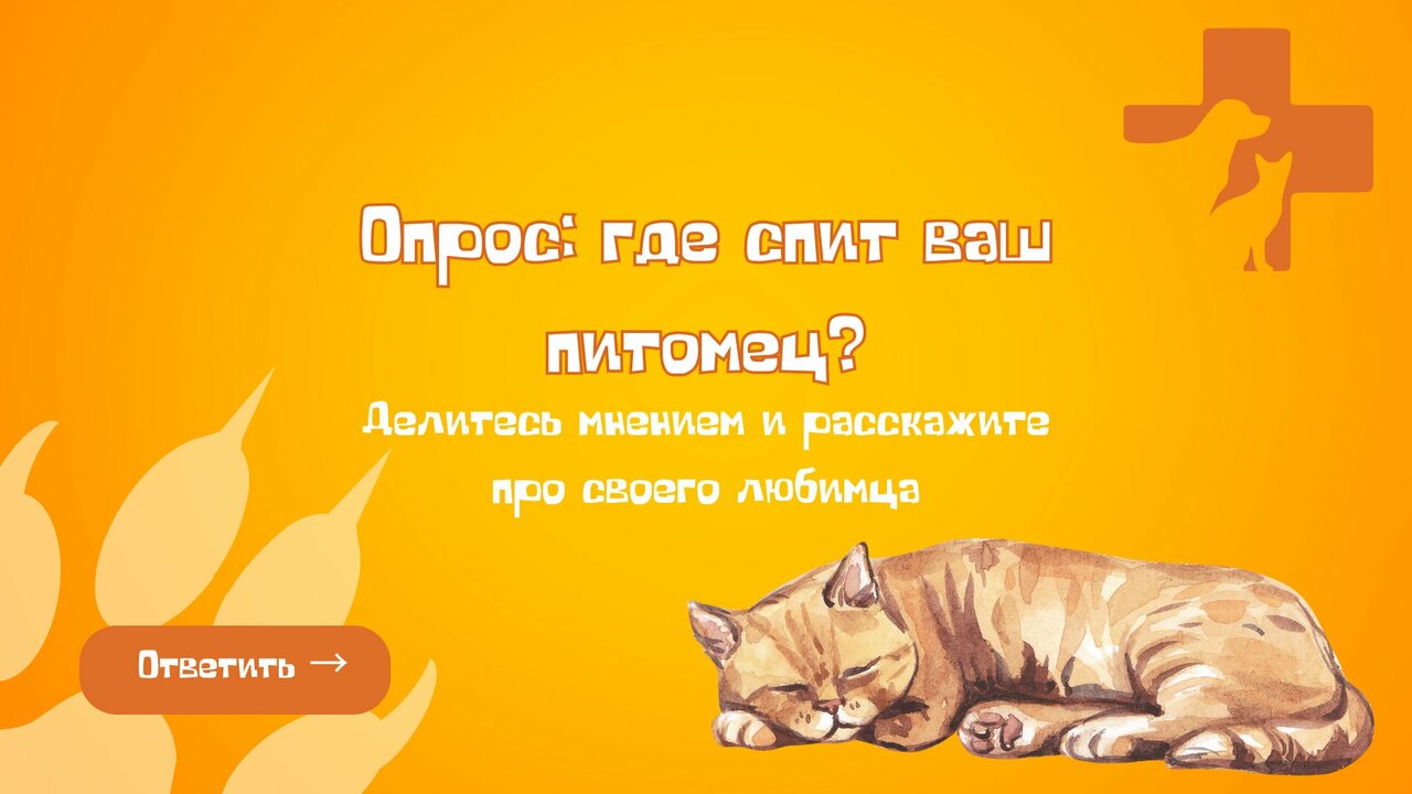 Фото клиники 11357