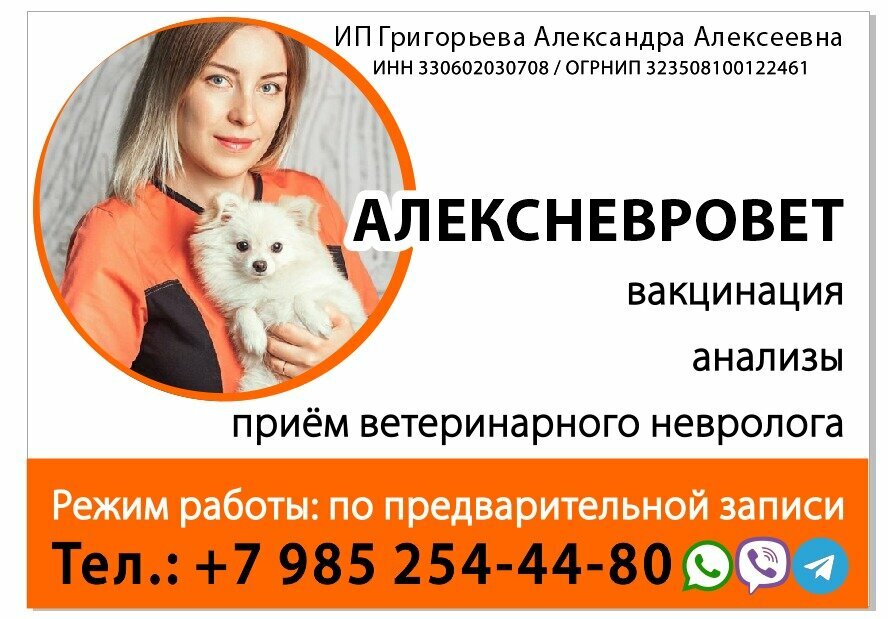 Фото «Алексневровет»