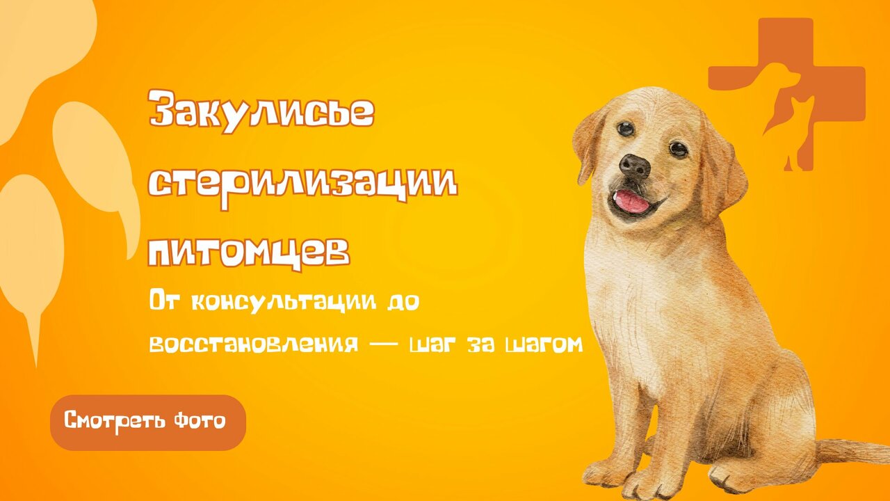 Фото клиники 11353