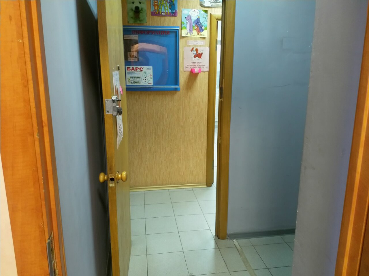 Фото клиники 36066