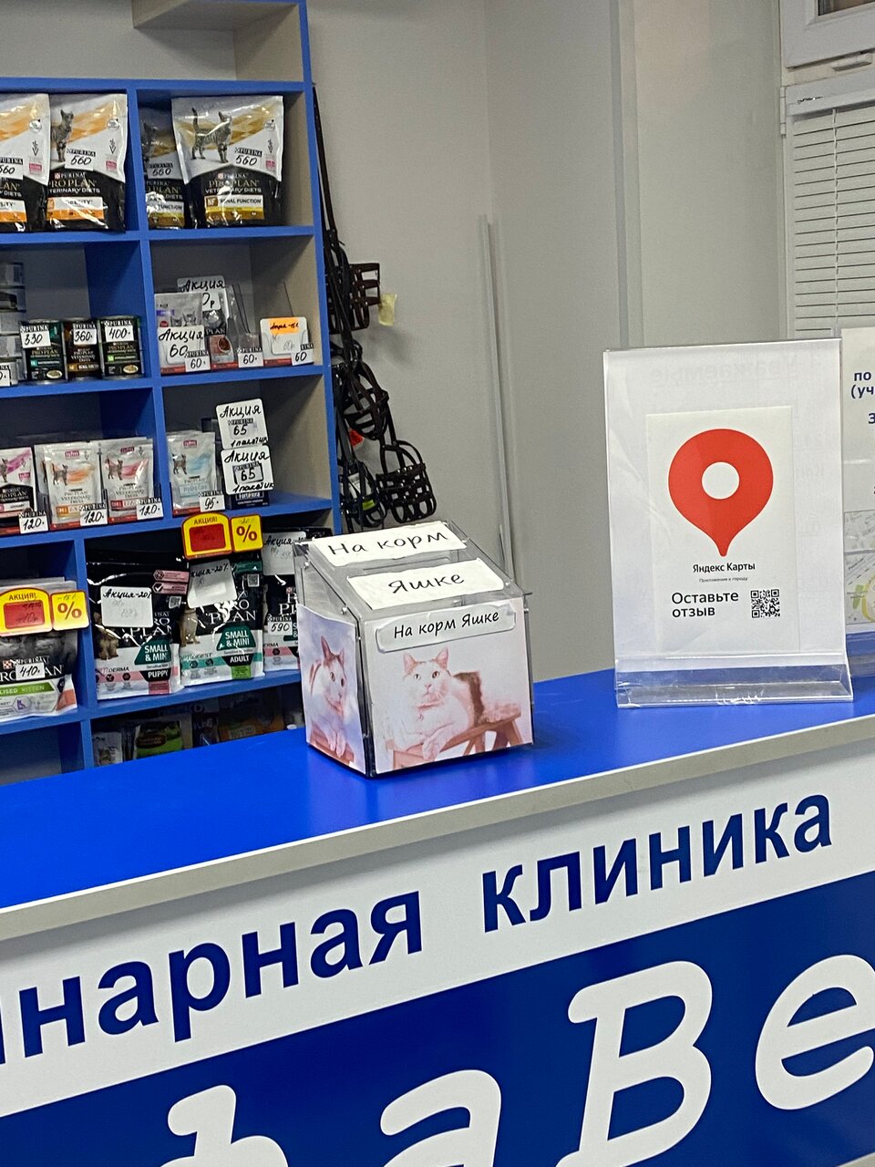 more clinic photos 22013