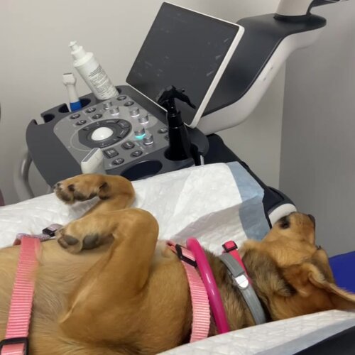 clinic general image