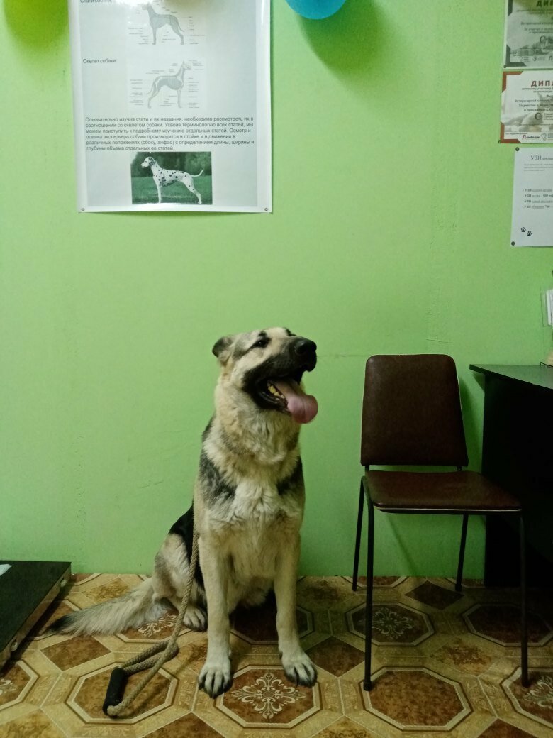 more clinic photos 30227