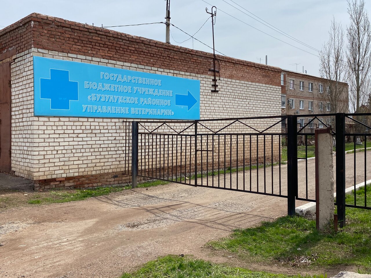 ГБУ Бузулукское районное управление ветеринарии
