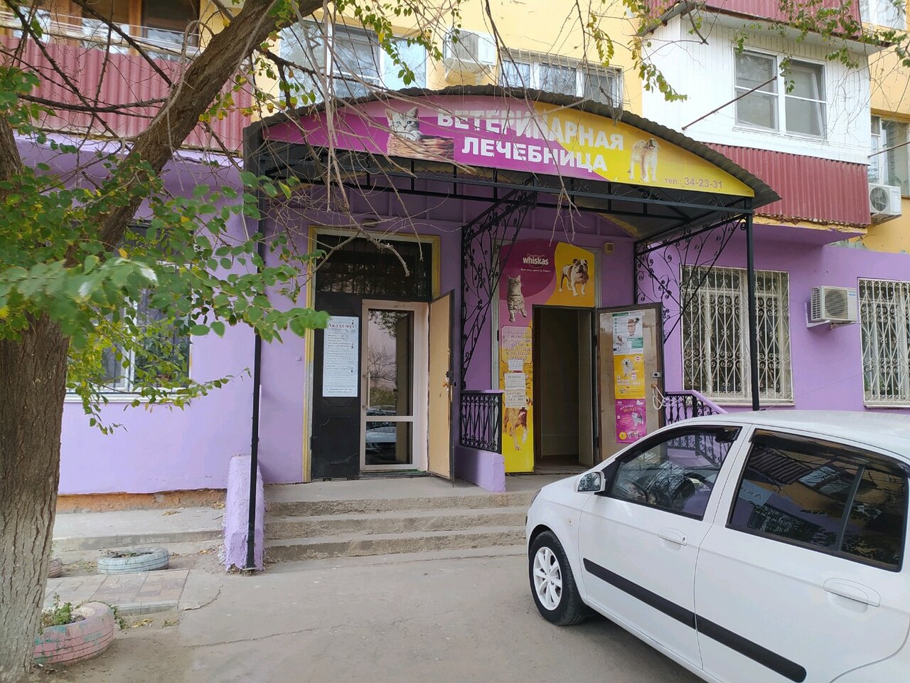 more clinic photos 7096